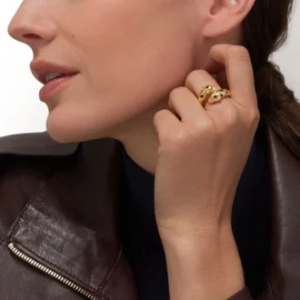 Anel Panthere De Cartier