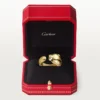 Anel Panthere De Cartier – Ouro amarelo, ônix, granada tsavorita – Cartier