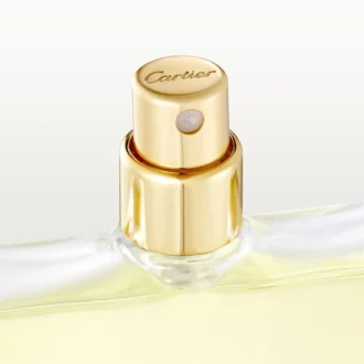 Pacote de recarga de Eau de Toilette – Declaration | Cartier