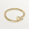 Pulseira Juste Un Clou, modelo grande, diamantes